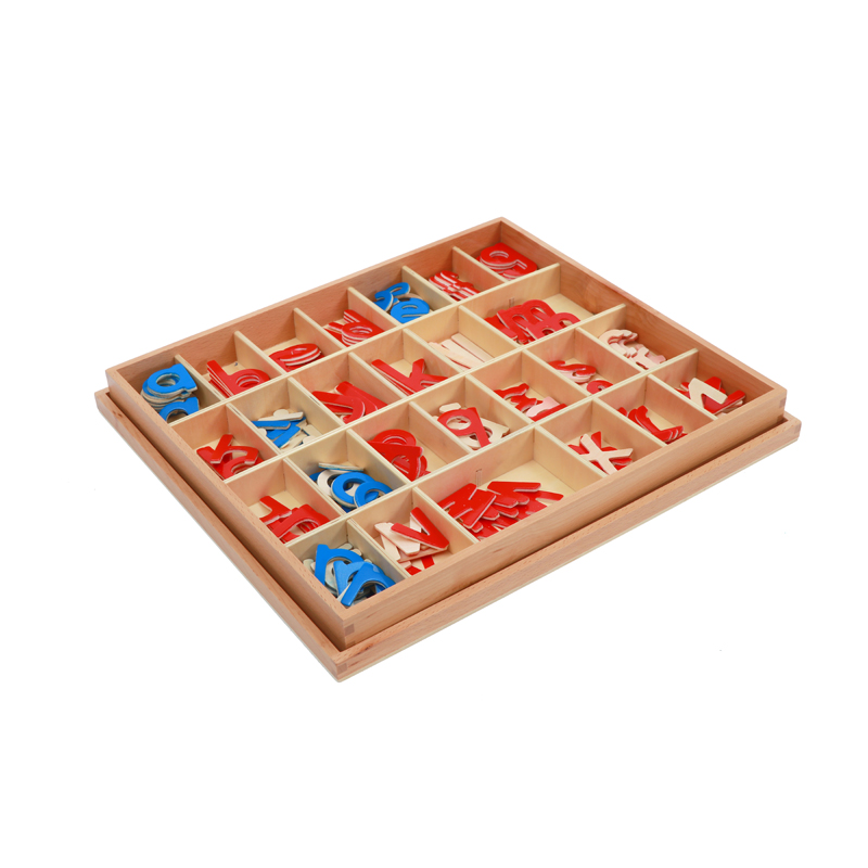 Montessori Materials Moveable Alphabet 