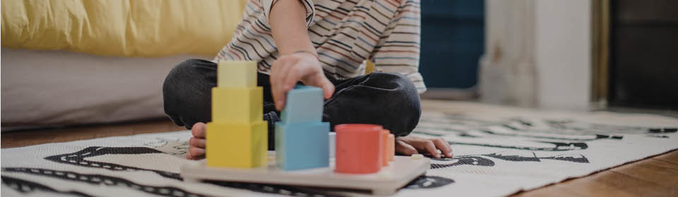 Category Banner-WoodenToys